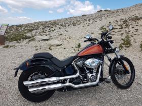 Harley-Davidson SOFTAIL 